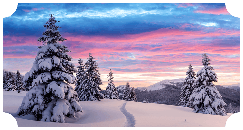 a hill during winter with trees and the ground covered in snow