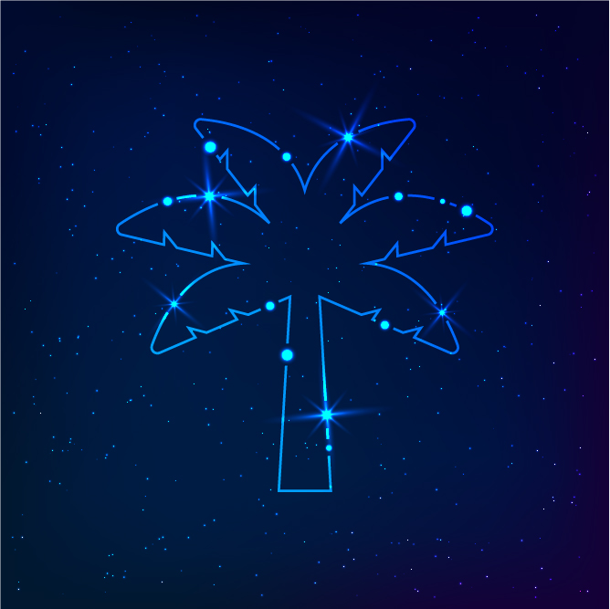 a starry night sky with a constellation of a palm tree